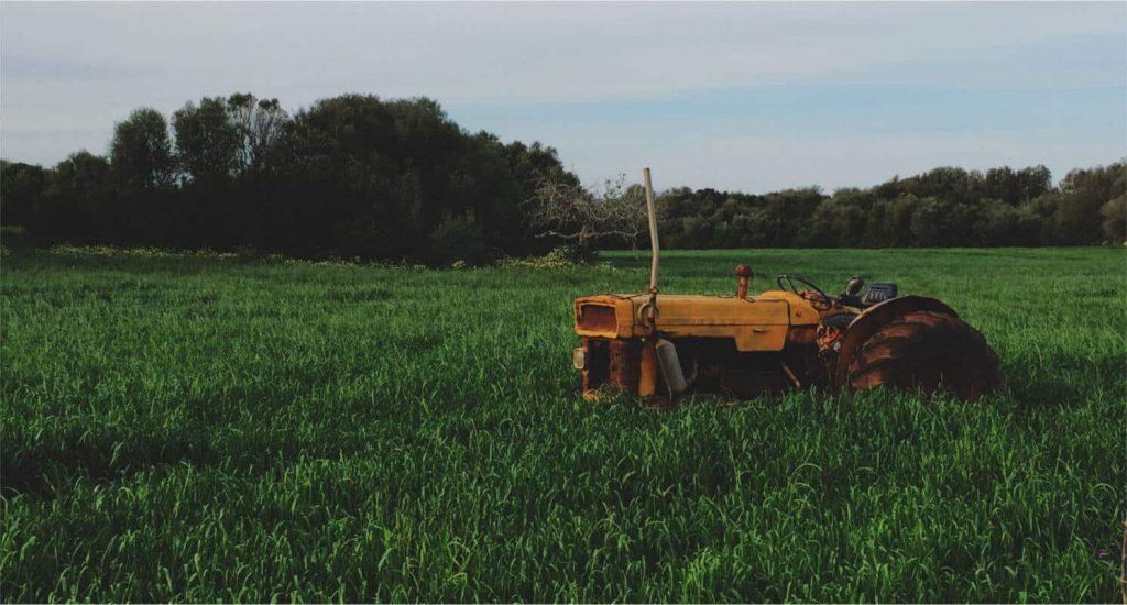 Agricultura en inglés